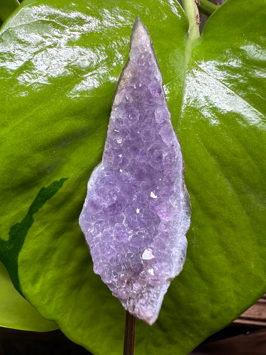 Mini Amethyst Cluster Plant Crystal