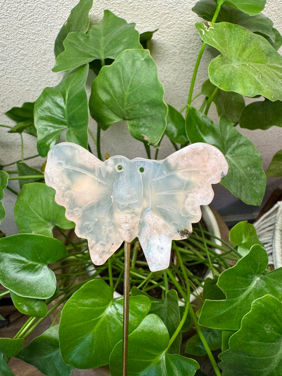 5/26 Flower Agate Butterfly