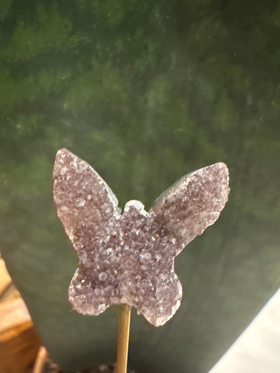 3/7 Mini Butterfly