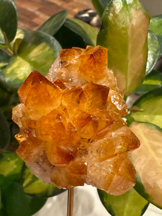 4/11 Citrine