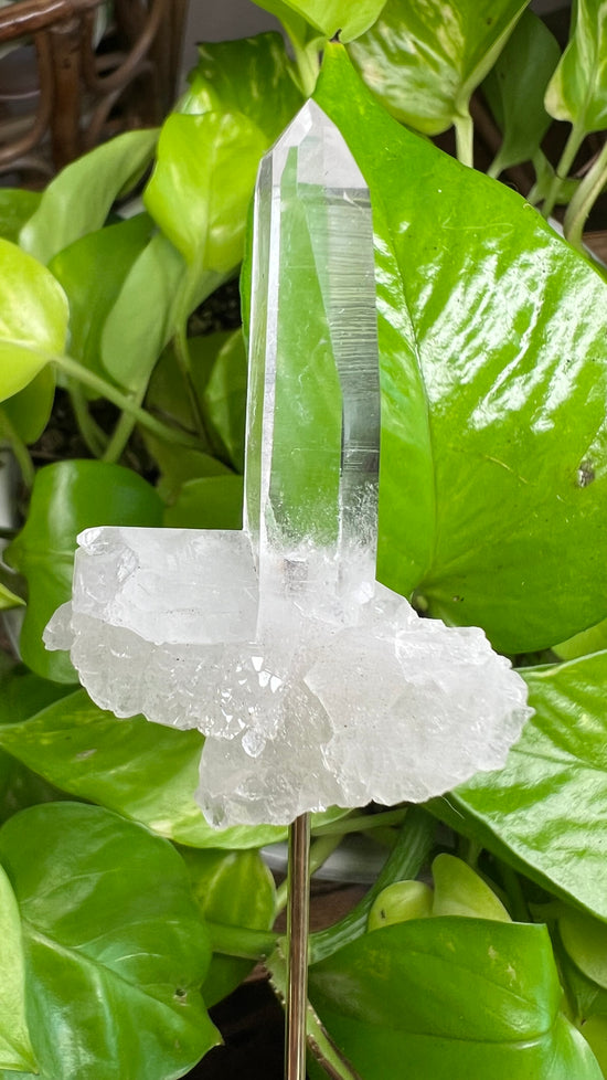 F16 Clear Quartz Plant Crystal