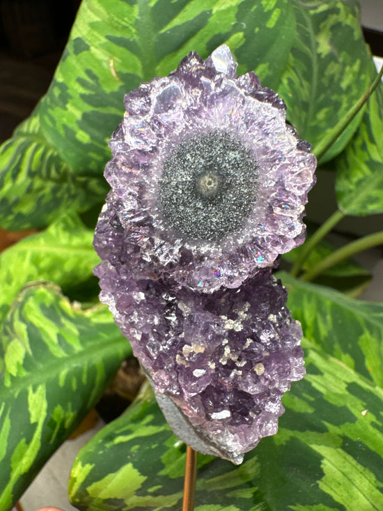 8/18 Amethyst Flower