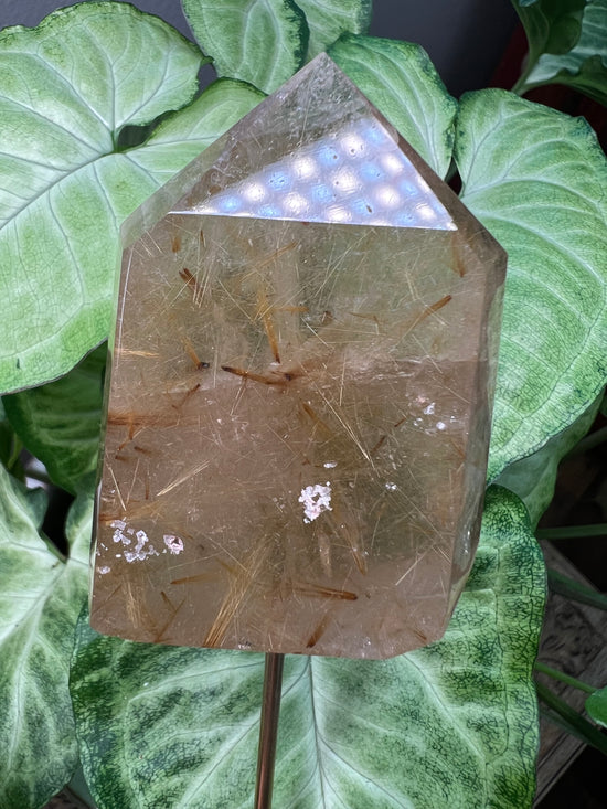 8/23 Gold Rutile Quartz