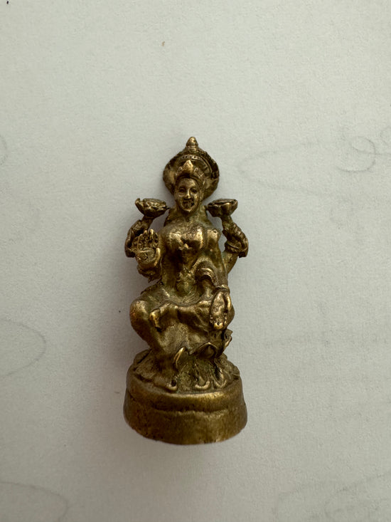 Mini Lakshmi