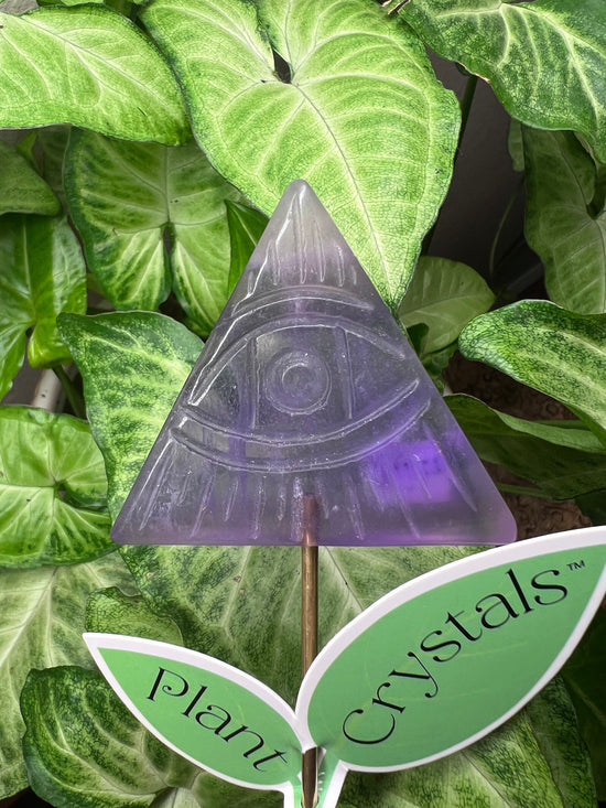 9/24 Fluorite Evil Eye Plant Crystal