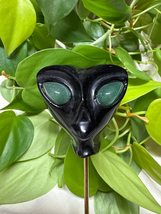ET Alien Obsidian Plant Crystal