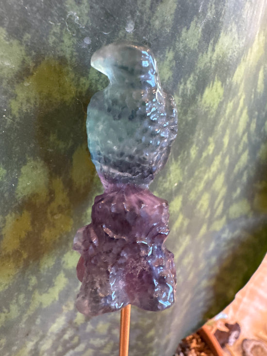 4/20 Hawk Fluorite