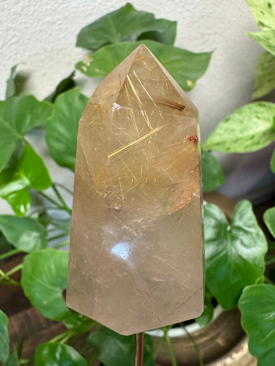 4/25 Ritule Quartz