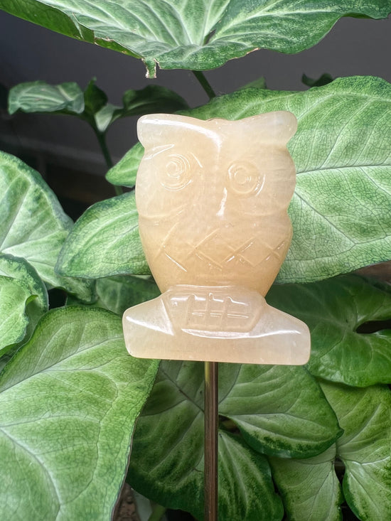 9/17 Orange Calcite Owl Plant Crystal