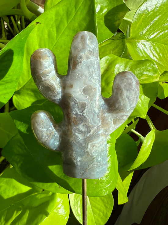 Misty Blue Lace Agate with Drusy Caves Cactus Plant Crystal