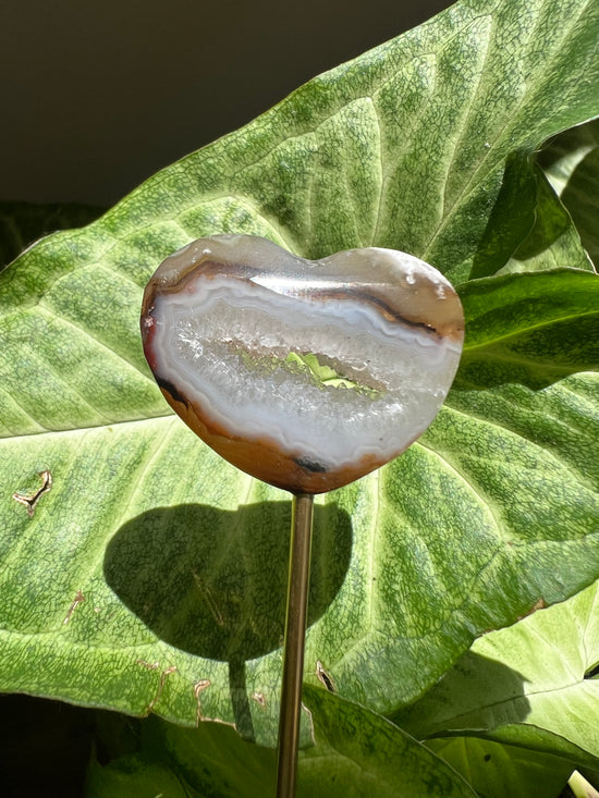 8/17 Heart with Portal Plant Crystal