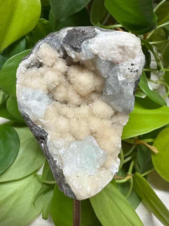 Starlight Peach and blue Apophyllite