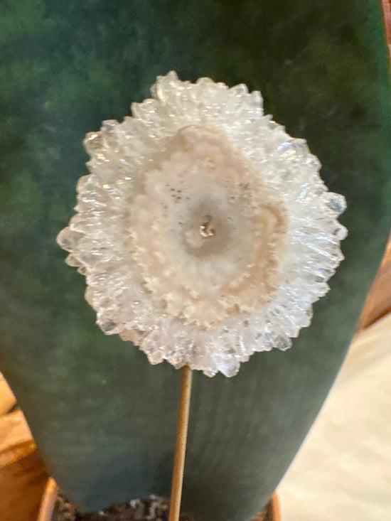 3/9 Flower Stalactite pink