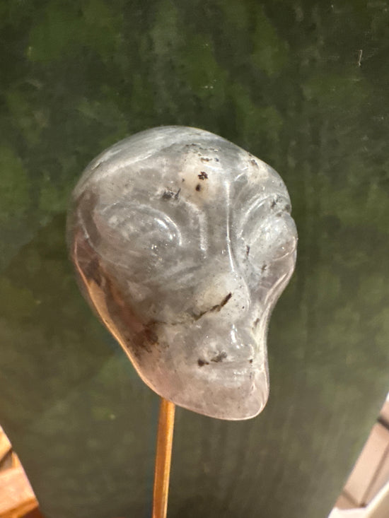 Mikerlyne Lab Alien