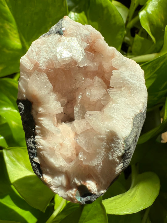 Pink Apophyllite Egg Plant Crystal