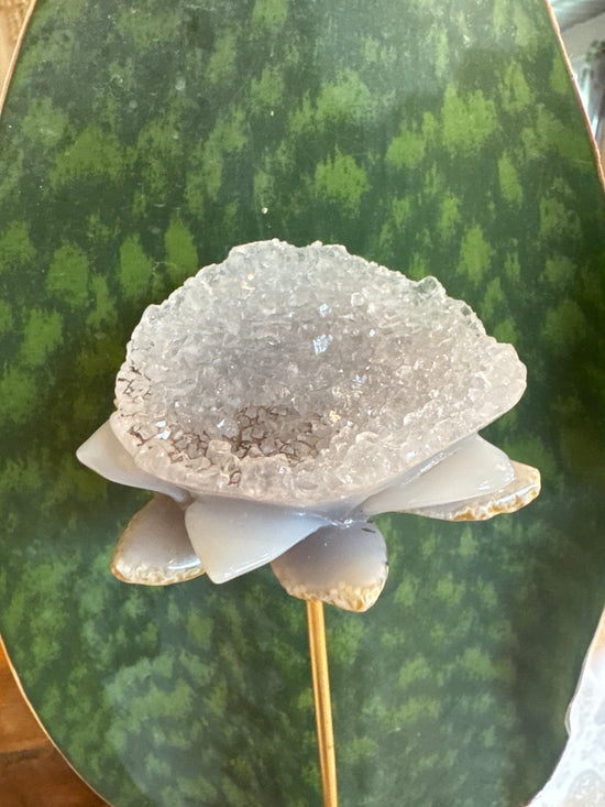 5/11 Lotus Blue lace
