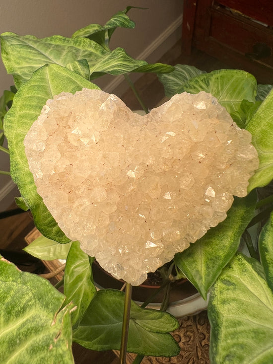 9/17 Citrine Cluster Heart Plant Crystal