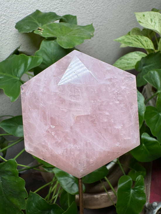 4/11 Rose Quartz Metatron Cube