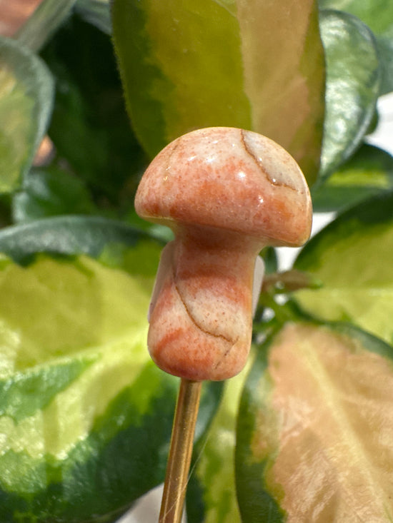 4/11 Mini Orange Jasper mushy