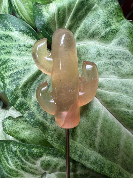 9/24 Fluorite Cactus Plant Crystal