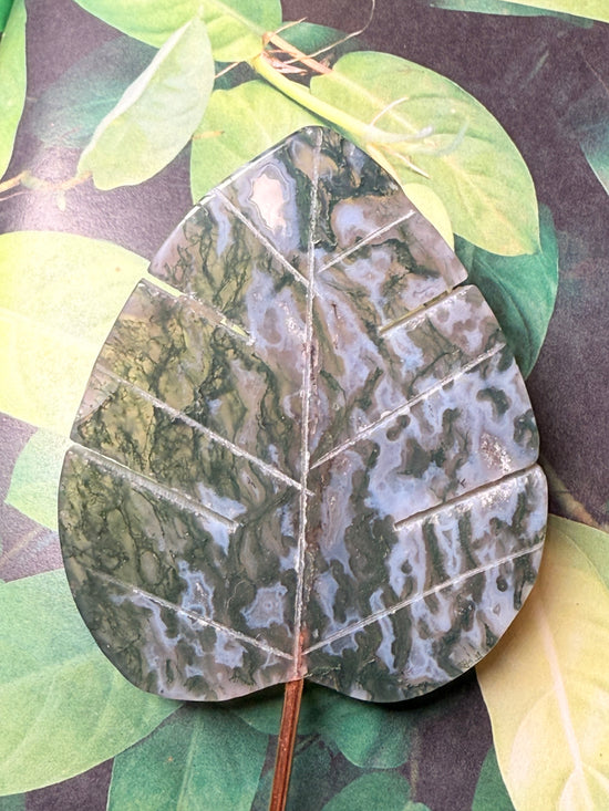 King Leaf Large Moss Agate Plant Crystal