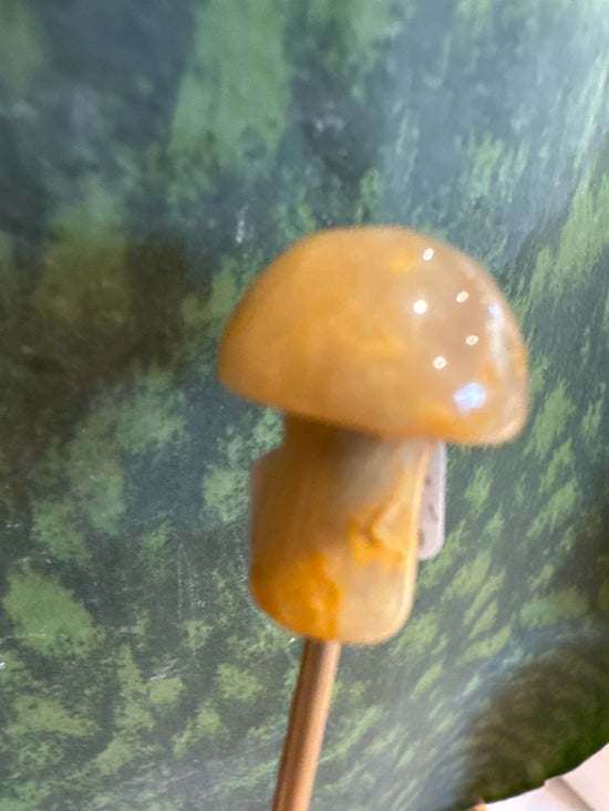 3/16 lace agate mini mushy