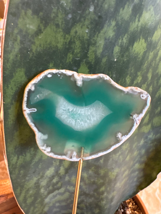 4/20 Green Agate