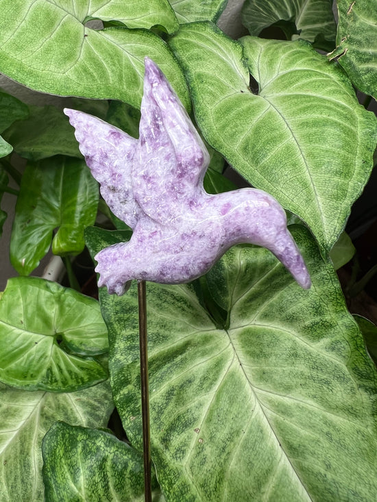 9/24 Lepidolite Hummingbird Plant Crystal