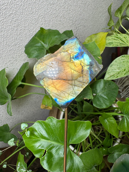 Aura Labradorite