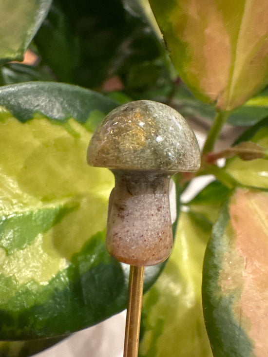 4/13 Mini Ocean Jasper mushy