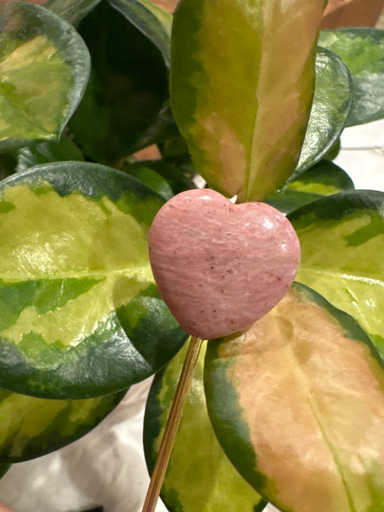 4/11 Mini Rhodonite heart