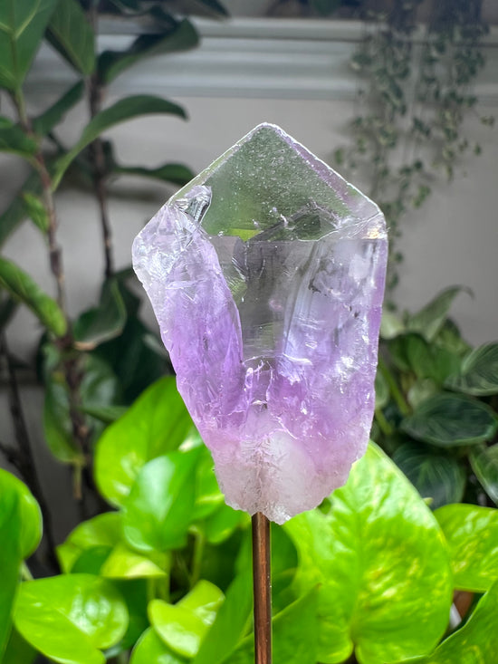 Mini Amethyst Point Plant Crystal