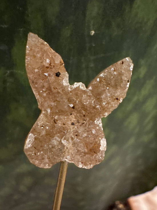 5/4 Mini citrine butterfly