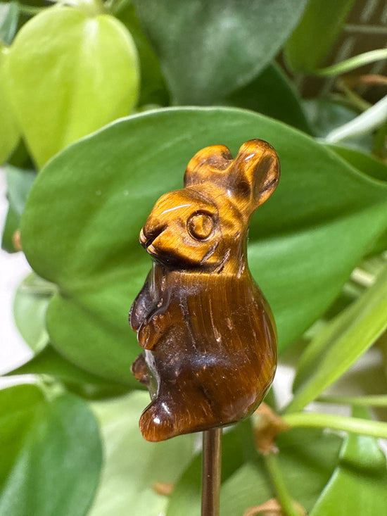 Honey Tigers Eye Mini Bunny