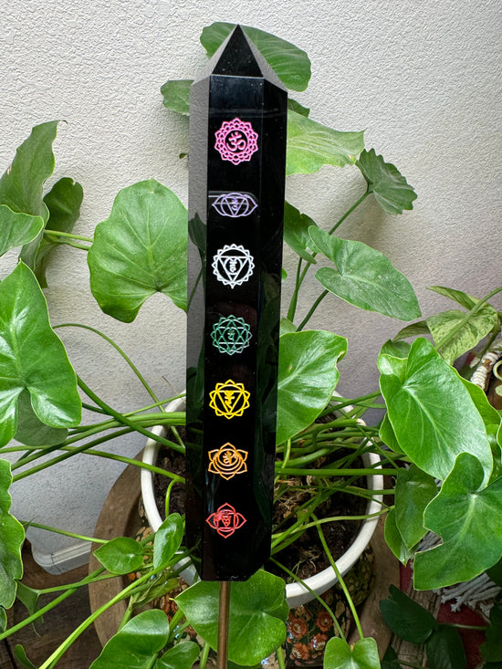 6/20 Chakra Tower