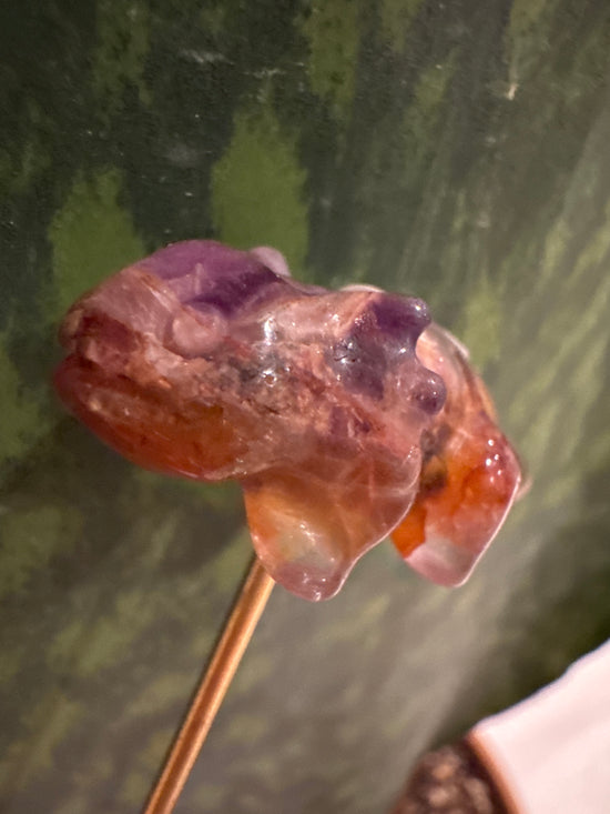 3/30 Mini Oxalottle
