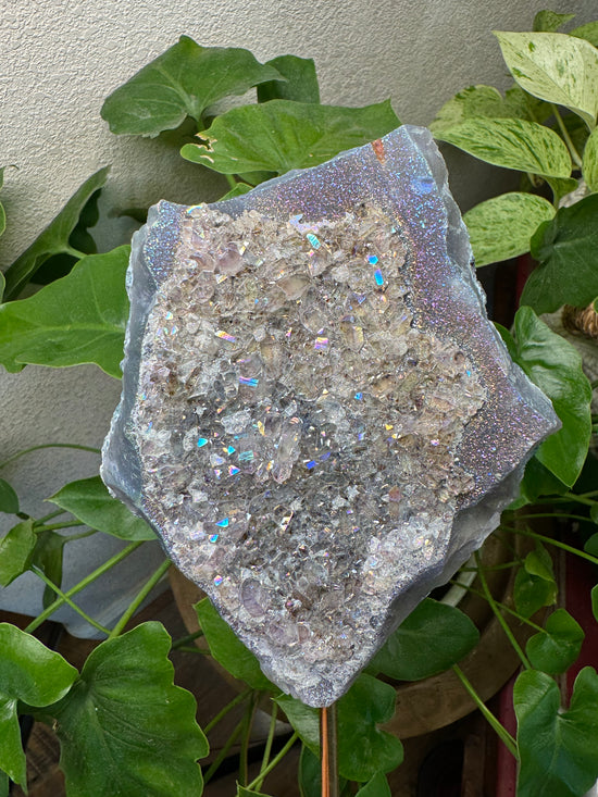 4/7 Large Angel Aura Amethyst