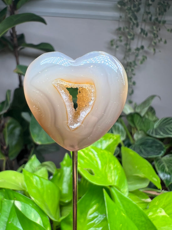 Agate Heart with portal Plant Crystal