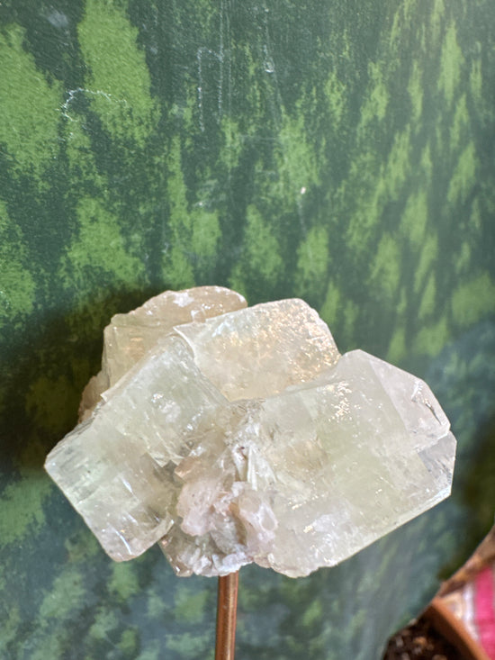 4/27 Apophyllite