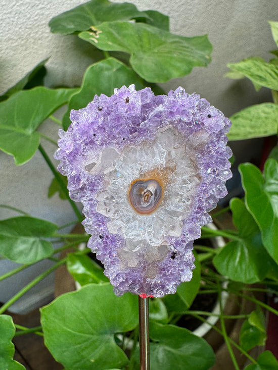 4/7 Amethyst Flower