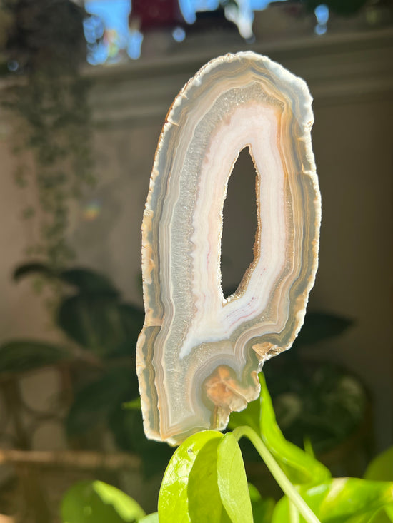 Topanga Natural Agate Plant Crystal