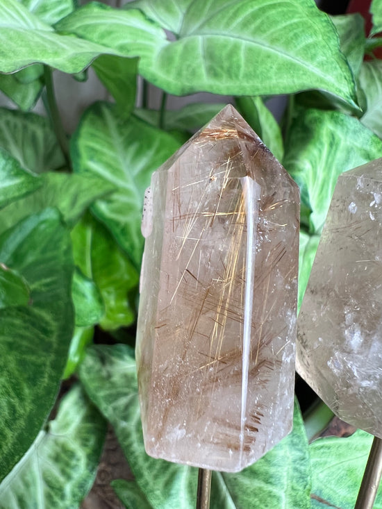 8/27 Gold Rutilated Quartz Plant Crystal