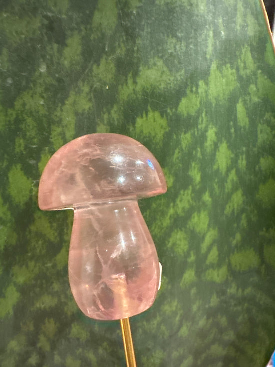 5/4 pink Mushroom