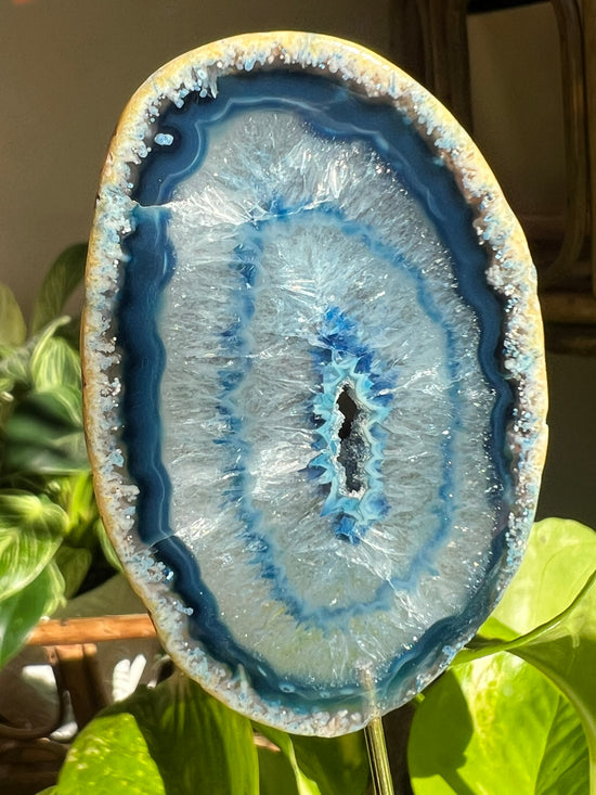 Cielo Blue Agate Plant Crystal