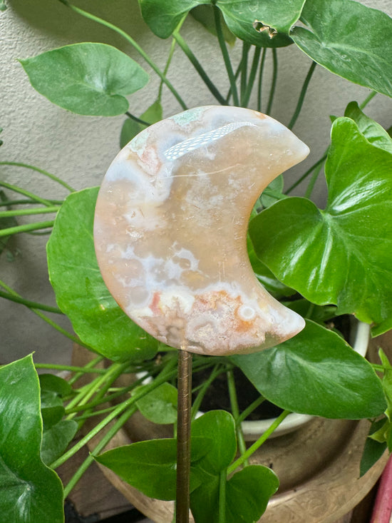 3/7 Flower Agate Moon