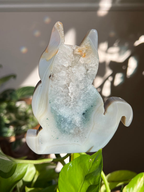 Lovestruck Kitty Agate and Quartz Plant Crystal (Large)