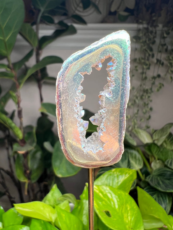 Mini Angel Aura Agate Plant Crystal