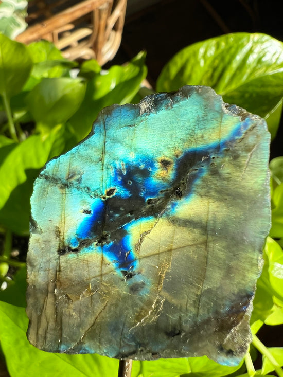 Whale Labradorite Plant Crystal