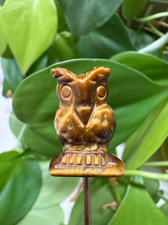 Archie Tigers Eye Owl Mini