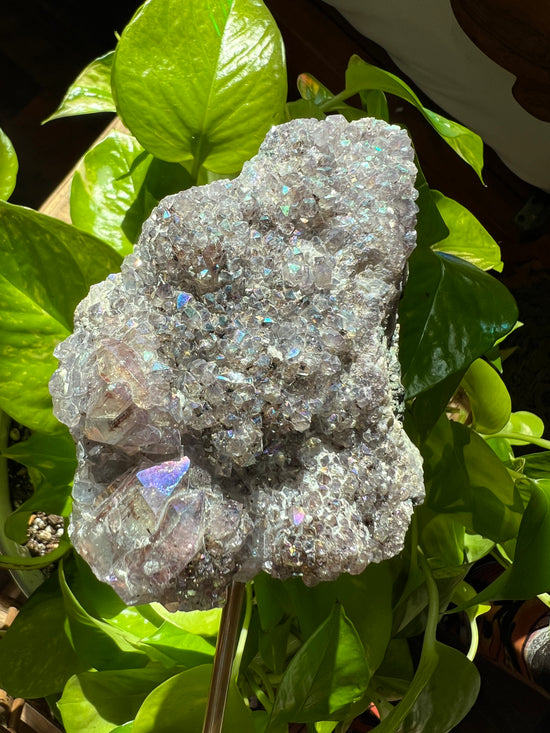 Angel Aura Amethyst Slab Plant Crystal